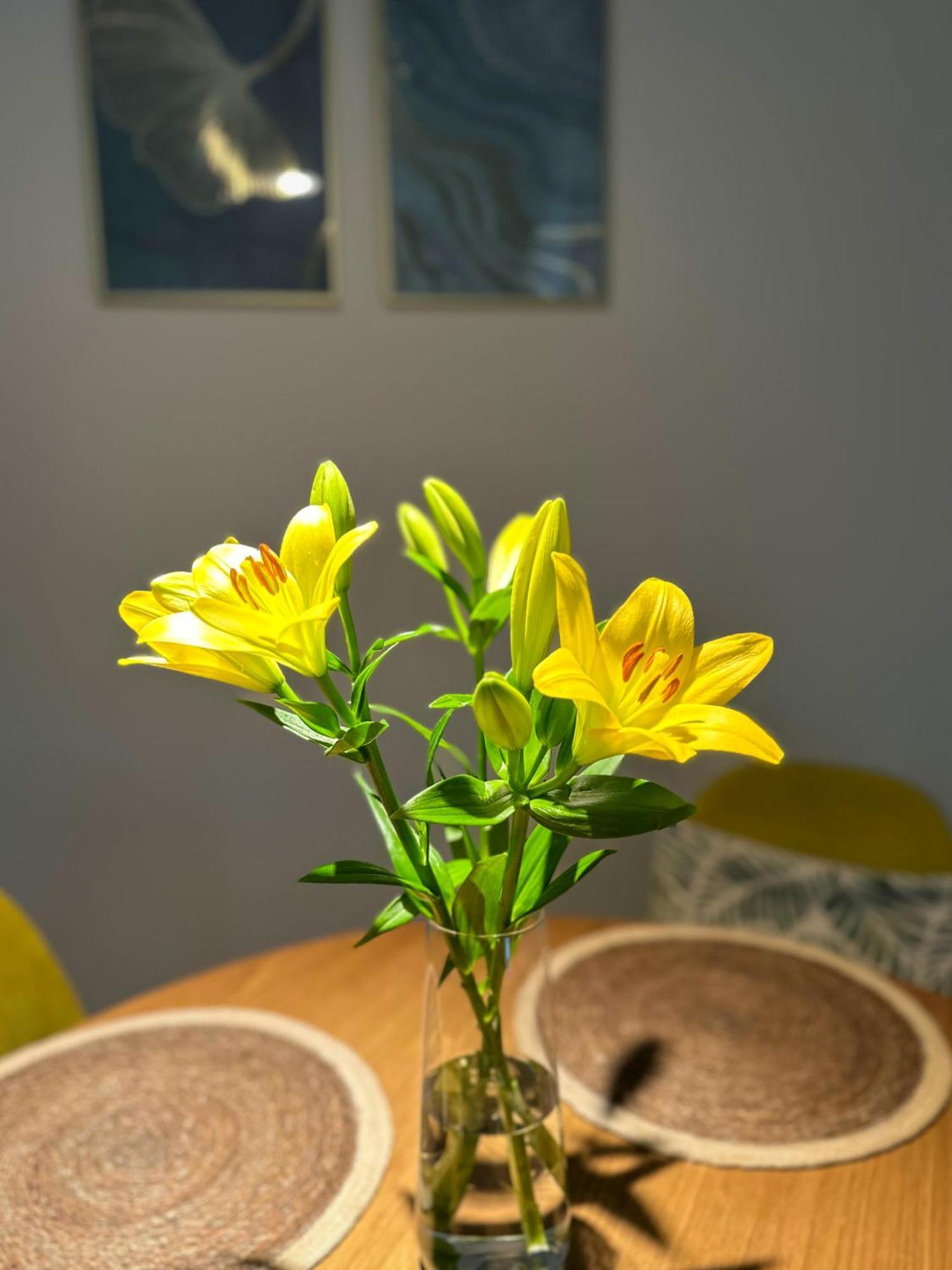 Greenside Sunpark Apartament Przemyśl Extérieur photo